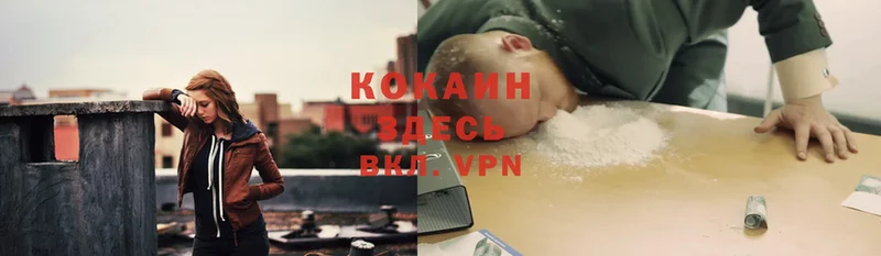 как найти закладки  Солигалич  КОКАИН VHQ 